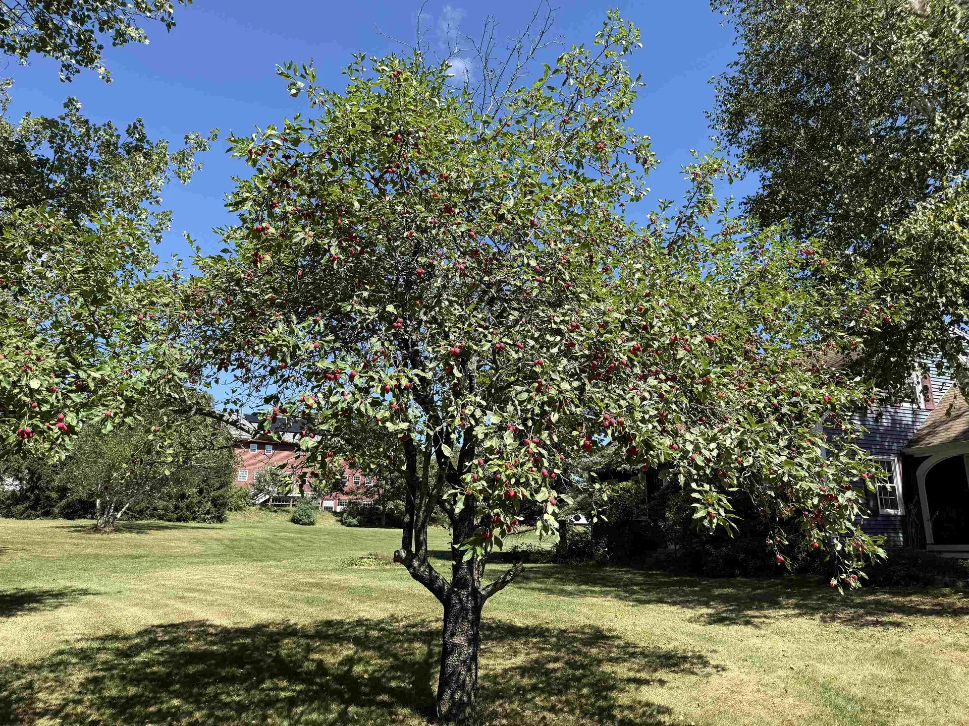 109 Old Center Road Deerfield NH 03037
