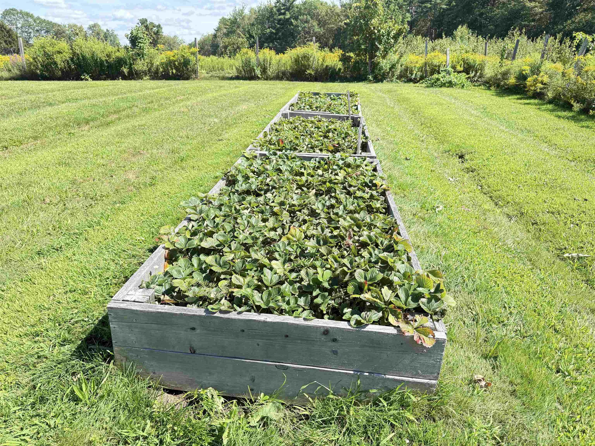 109 Old Center Road Deerfield NH 03037