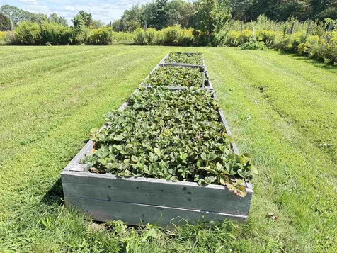 109 Old Center Road Deerfield NH 03037
