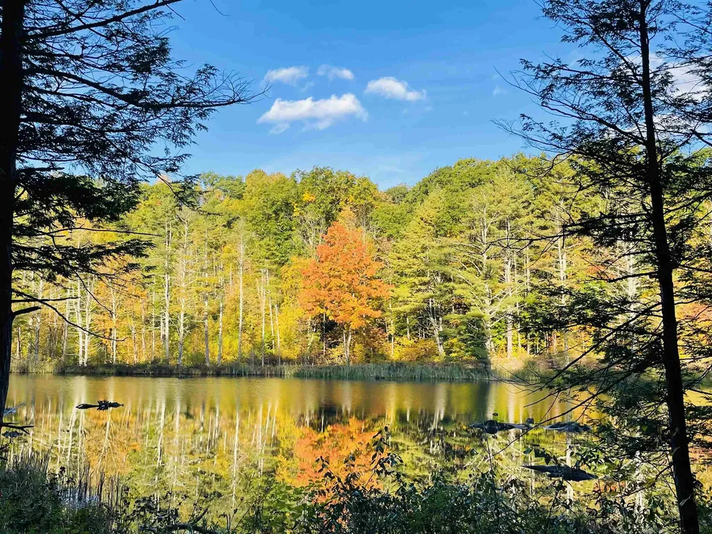 1260 Cider Mill Road Shaftsbury VT 05262