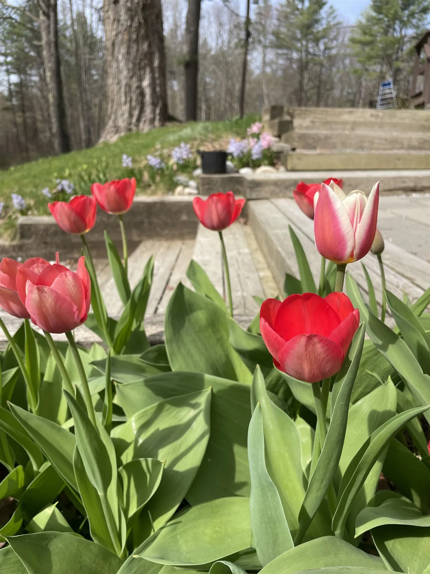1260 Cider Mill Road Shaftsbury VT 05262