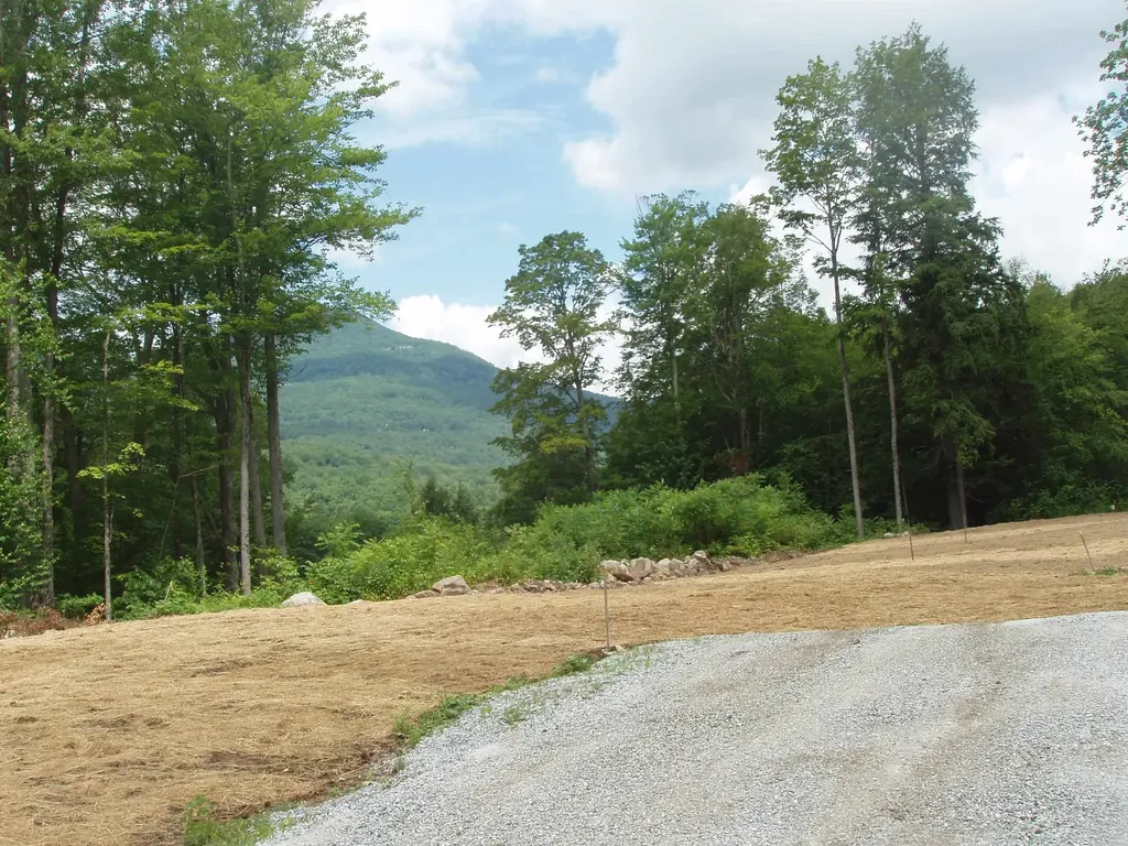 00 Finbar's Forest Road Manchester VT 05255