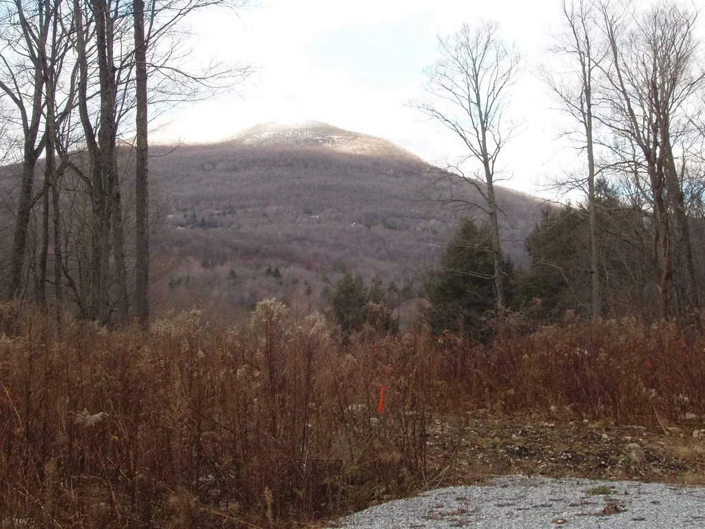 00 Finbar's Forest Road Manchester VT 05255