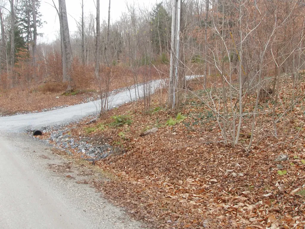 00 Finbar's Forest Road Manchester VT 05255