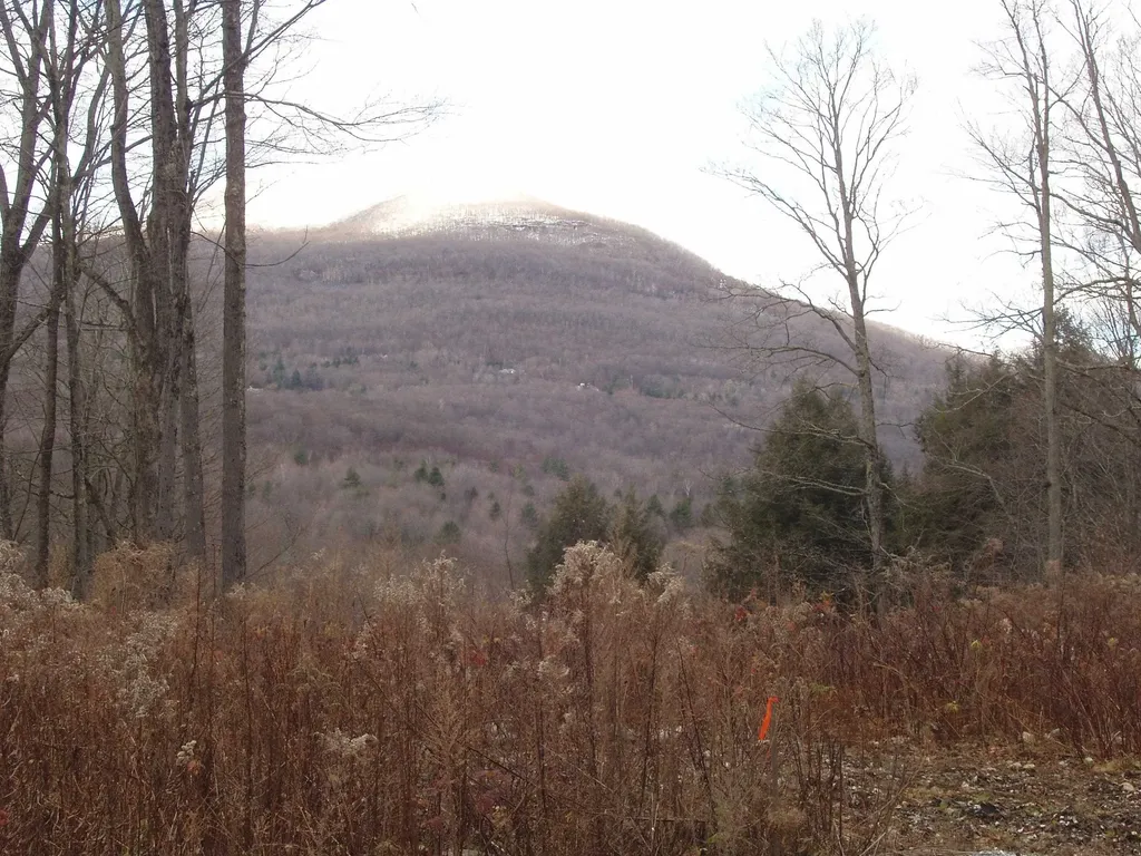 00 Finbar's Forest Road Manchester VT 05255