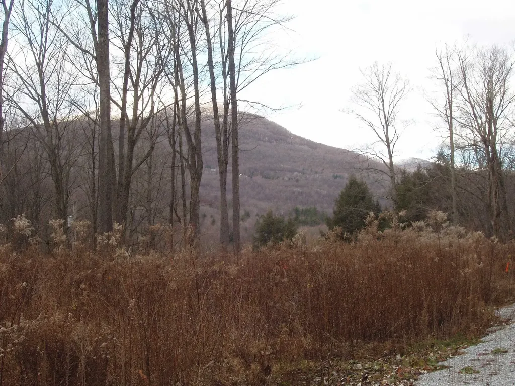 00 Finbar's Forest Road Manchester VT 05255