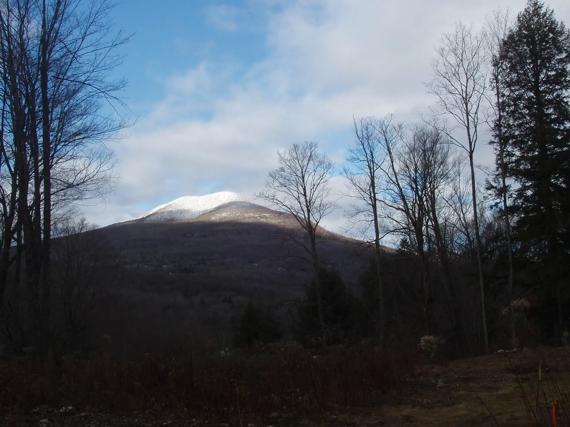 00 Finbar's Forest Road Manchester VT 05255