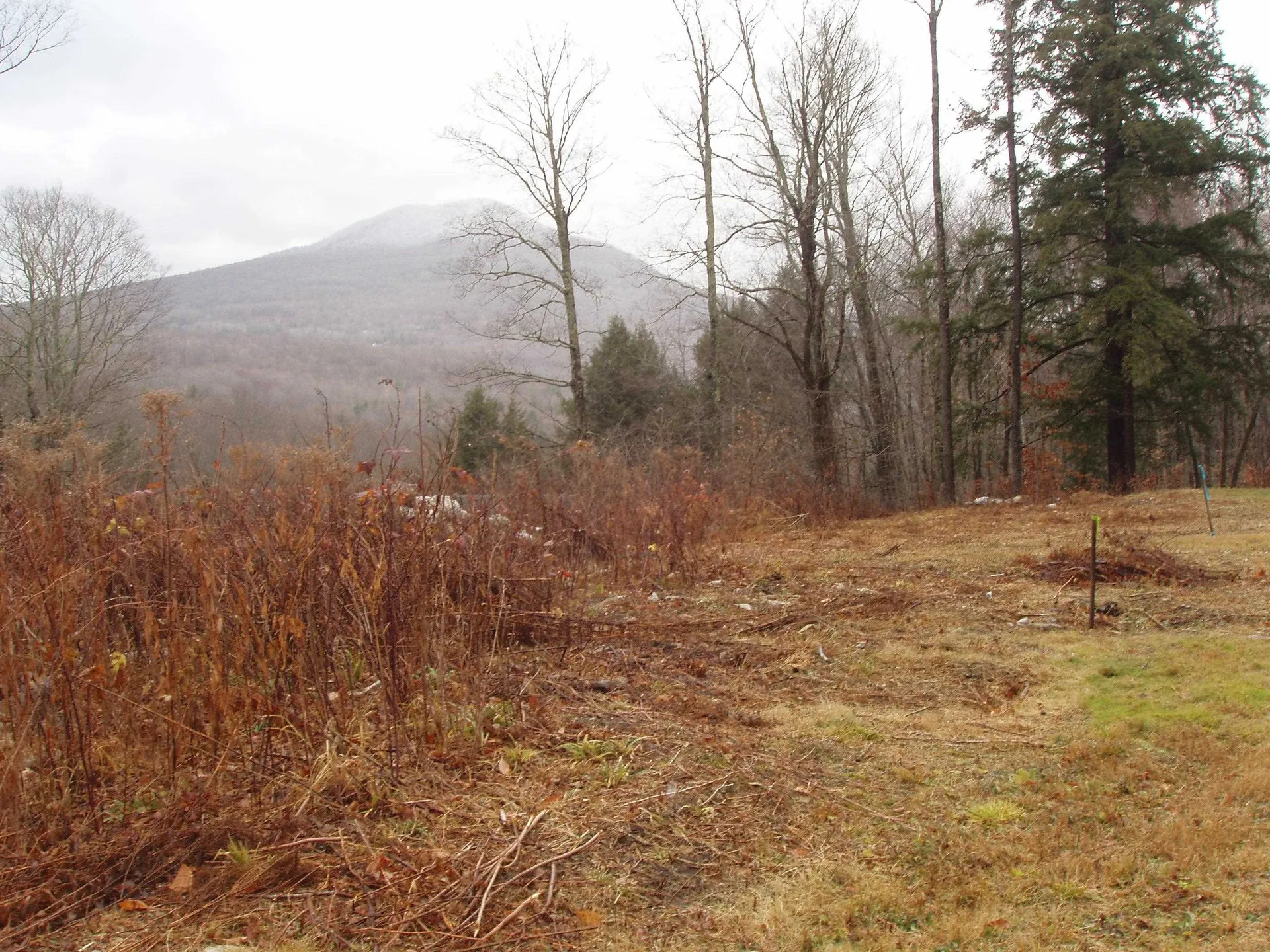 00 Finbar's Forest Road Manchester VT 05255
