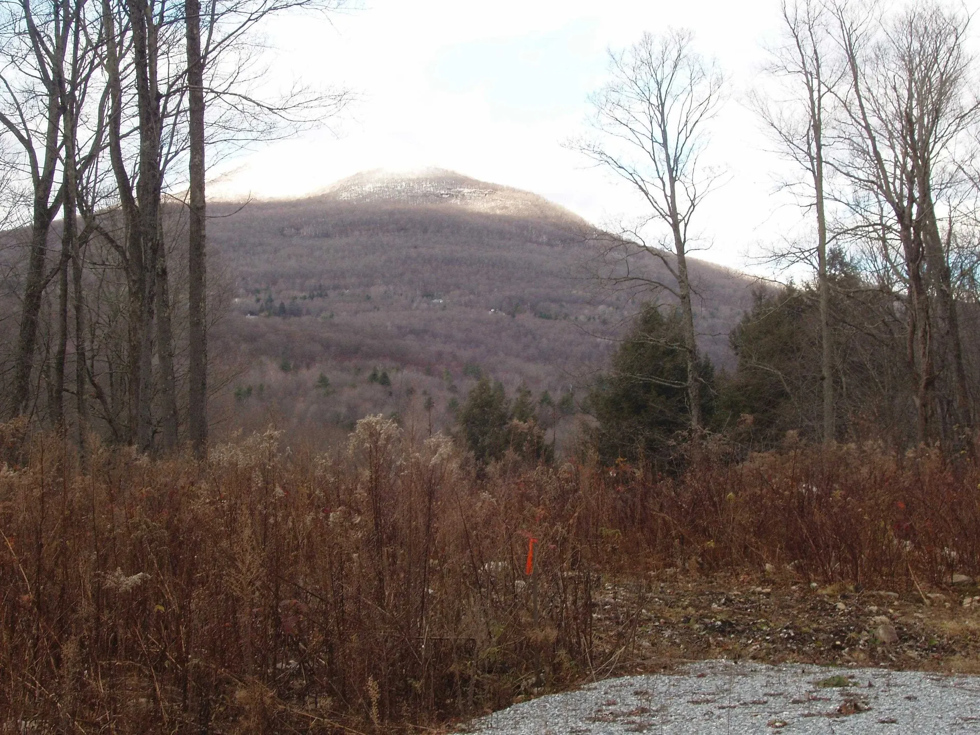 00 Finbar's Forest Road Manchester VT 05255