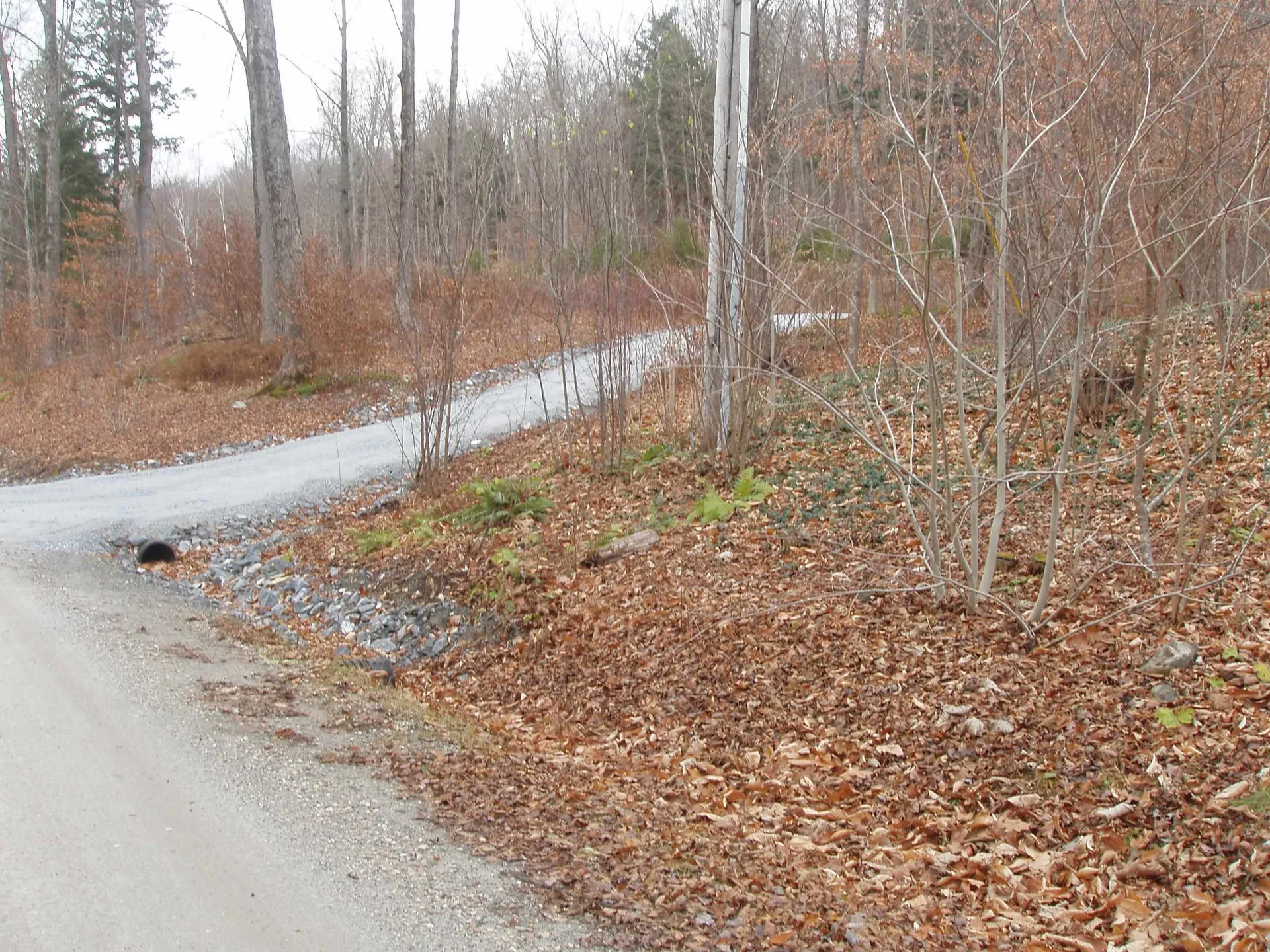 00 Finbar's Forest Road Manchester VT 05255
