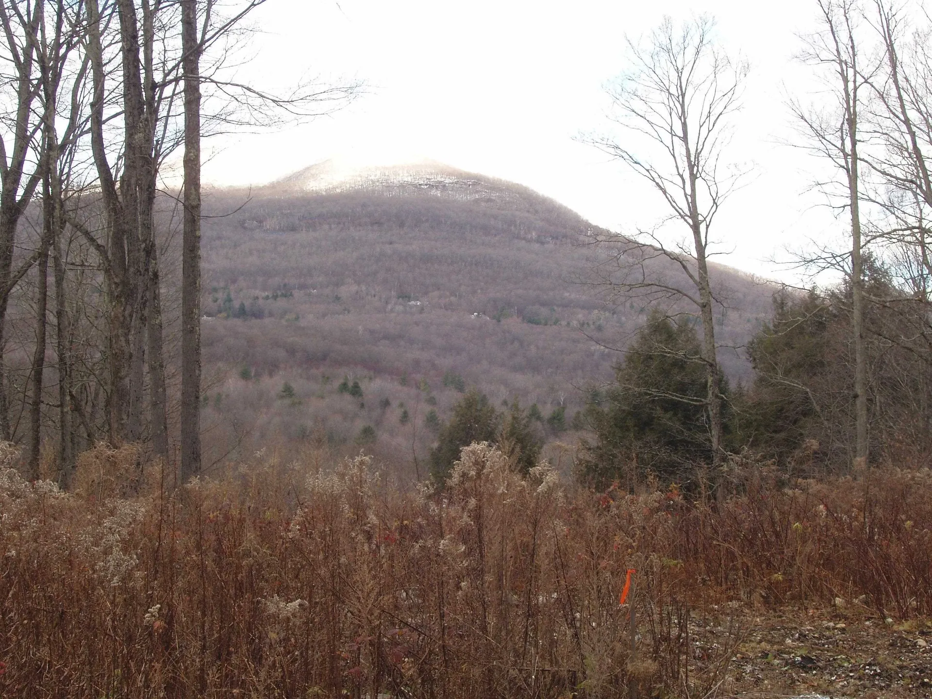 00 Finbar's Forest Road Manchester VT 05255