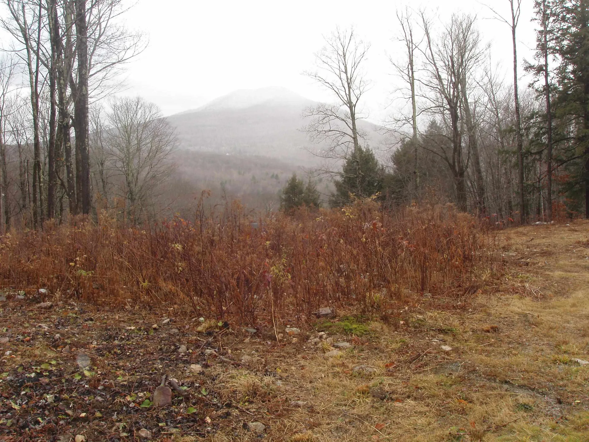 00 Finbar's Forest Road Manchester VT 05255
