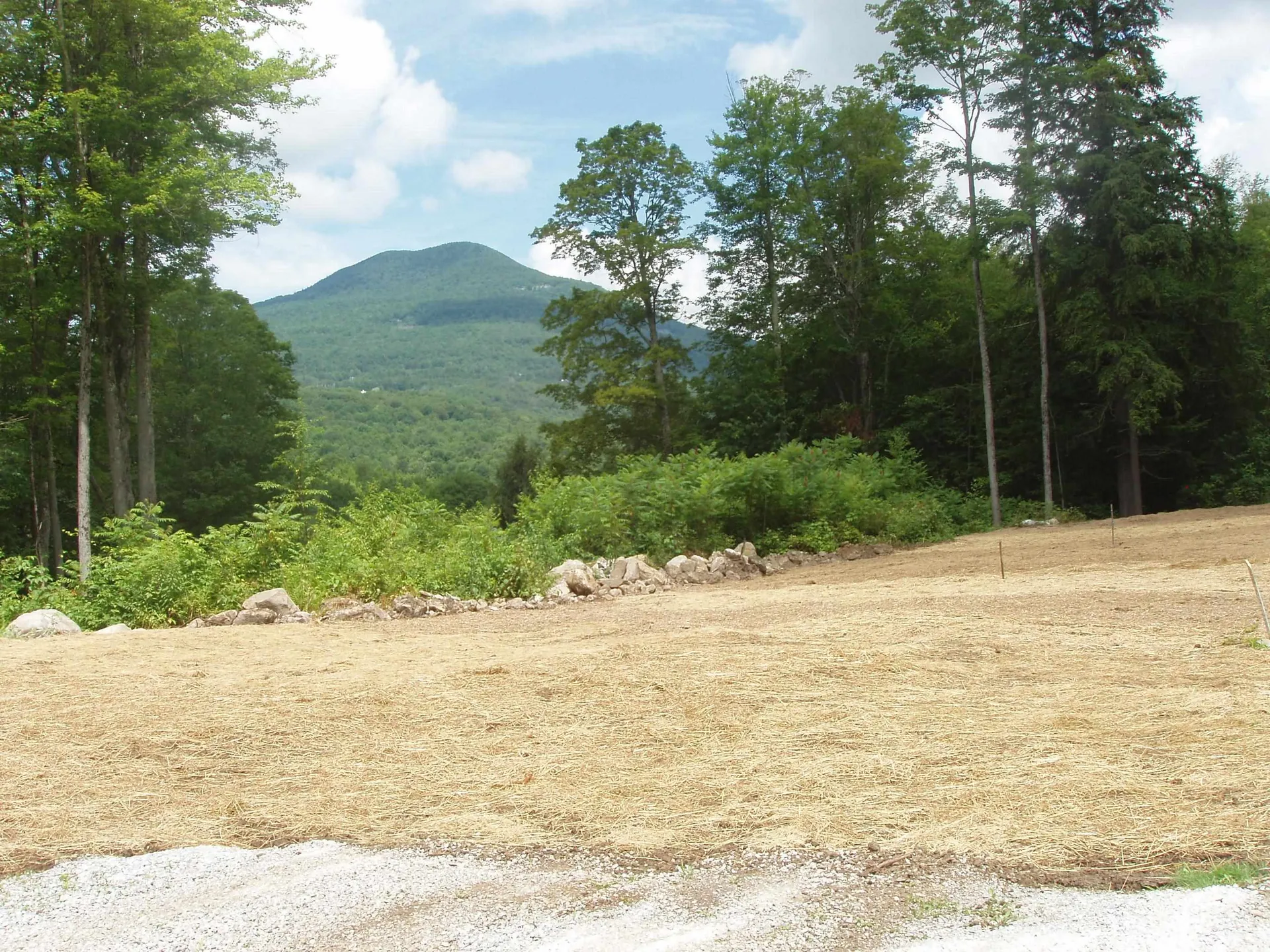 00 Finbar's Forest Road Manchester VT 05255