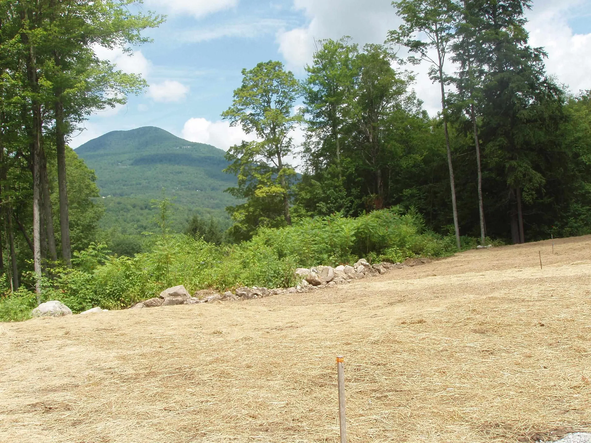 00 Finbar's Forest Road Manchester VT 05255