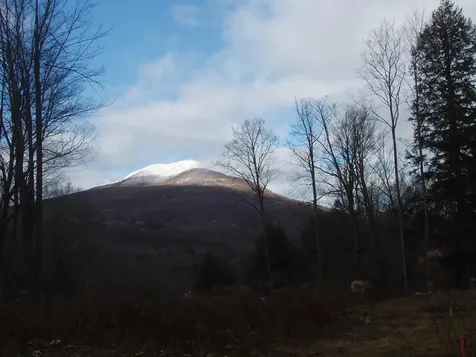 00 Finbar's Forest Road Manchester VT 05255