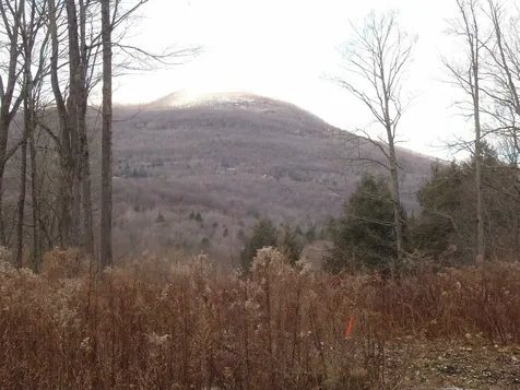 00 Finbar's Forest Road Manchester VT 05255
