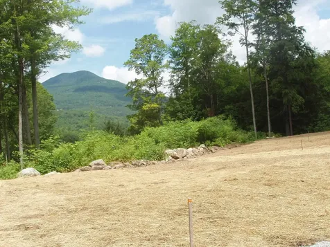 00 Finbar's Forest Road Manchester VT 05255