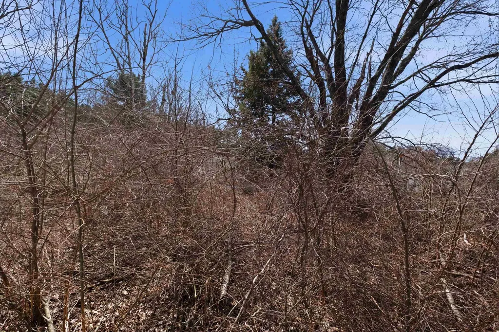 11 Thompson Avenue Hooksett NH 03106