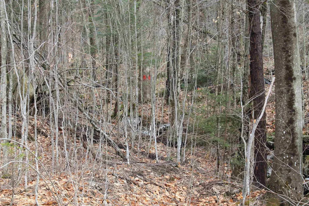 32 Alpine Drive Lincoln NH 03251