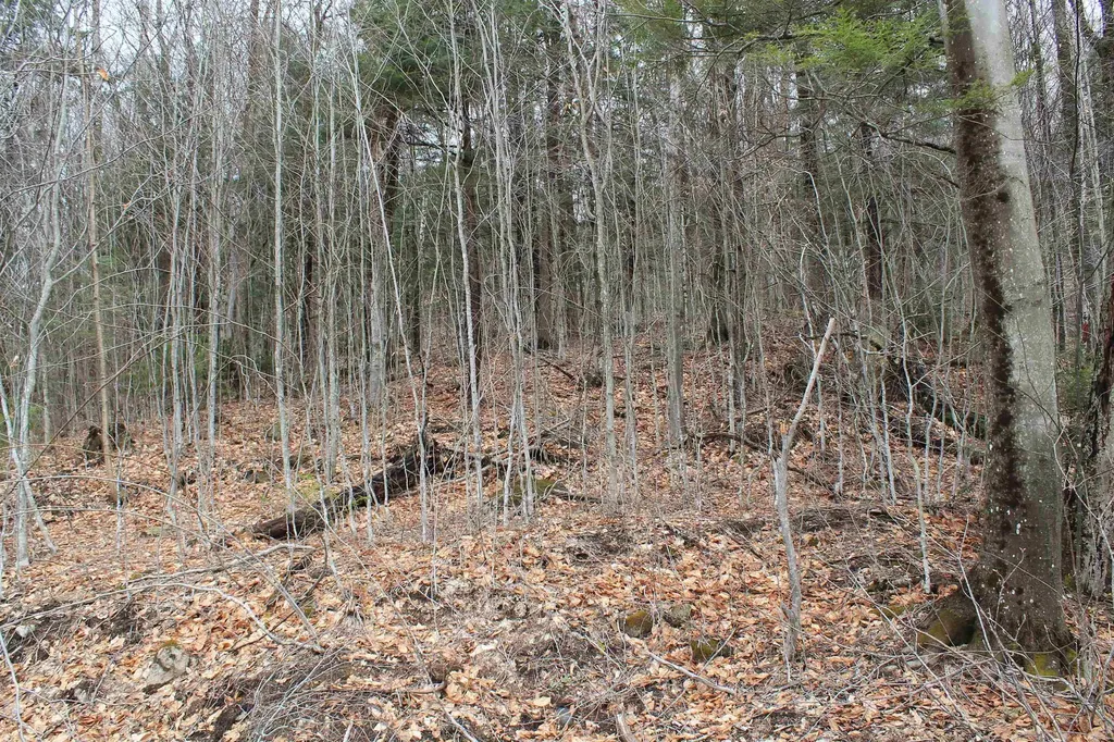 32 Alpine Drive Lincoln NH 03251