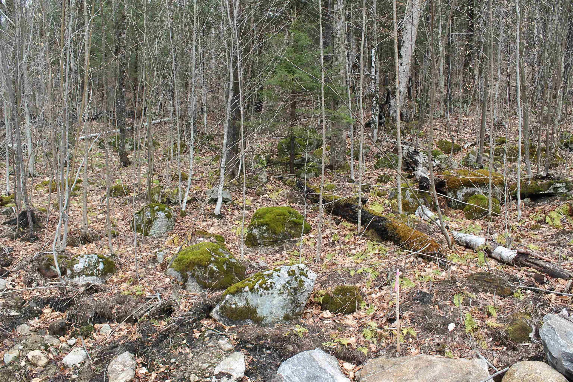 32 Alpine Drive Lincoln NH 03251