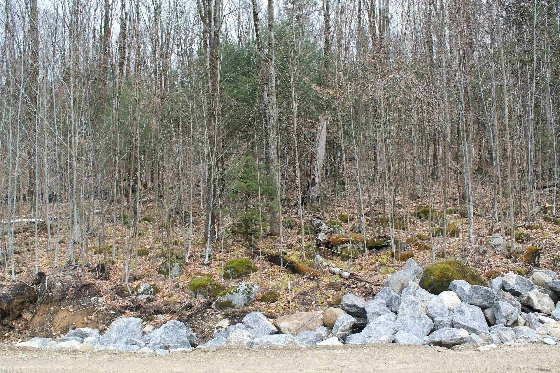 32 Alpine Drive Lincoln NH 03251