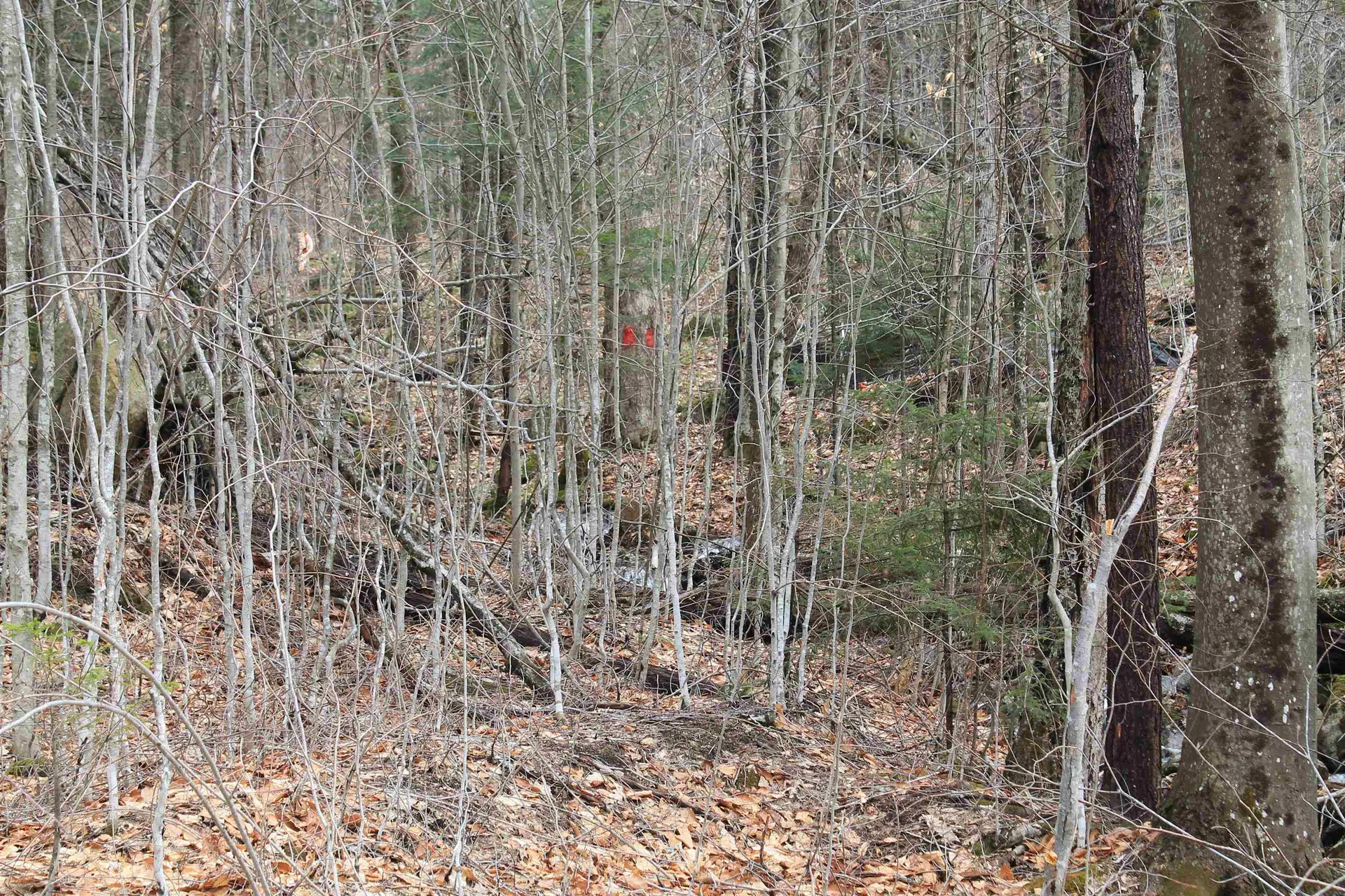 32 Alpine Drive Lincoln NH 03251