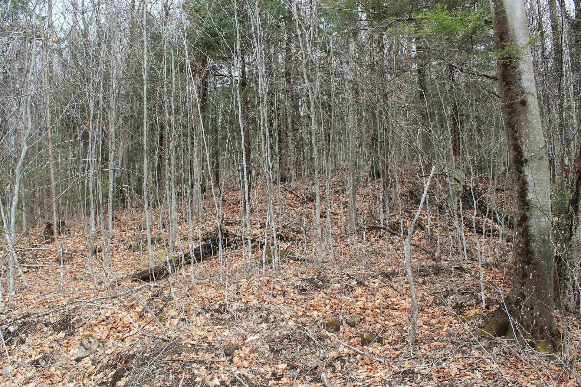 32 Alpine Drive Lincoln NH 03251