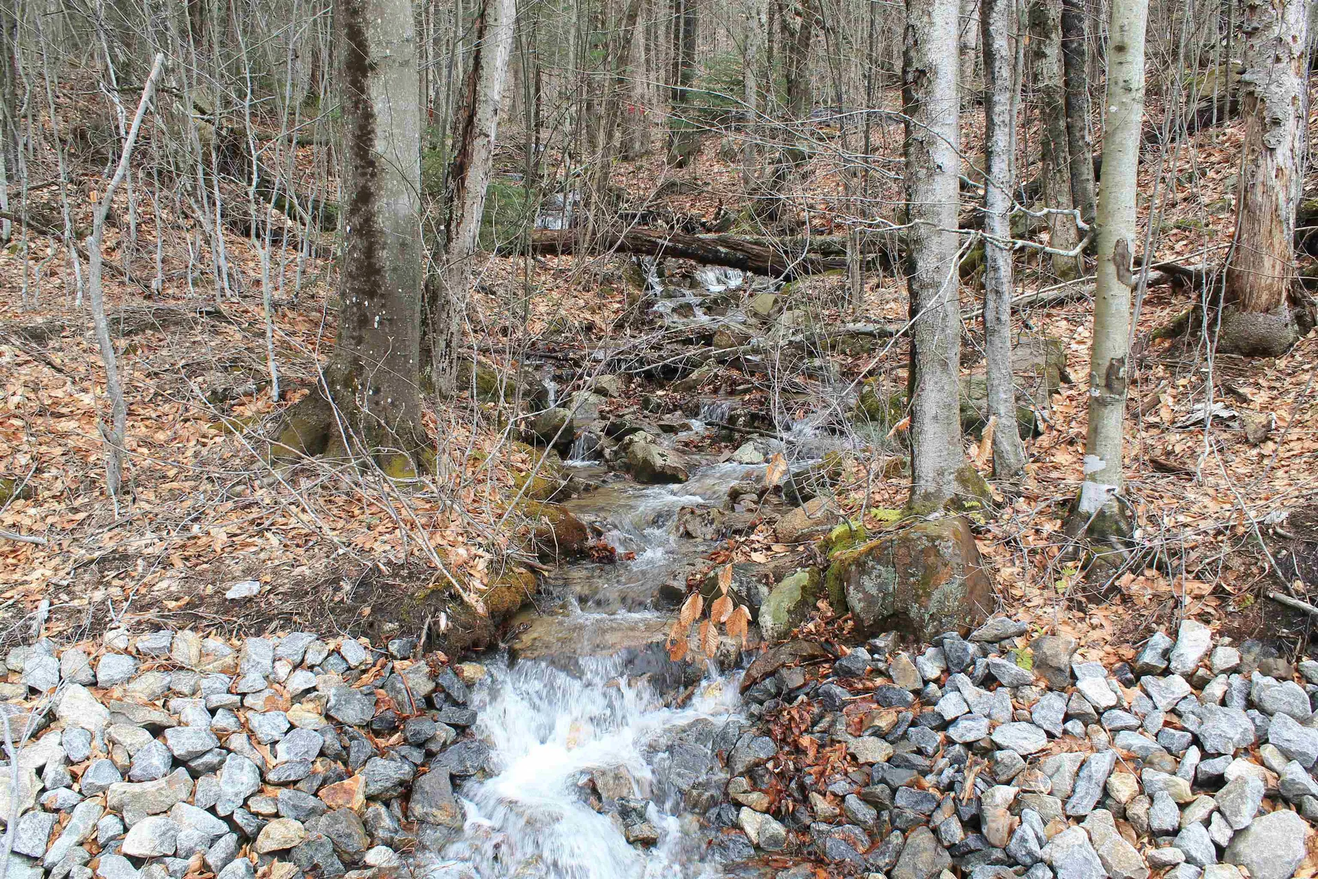 32 Alpine Drive Lincoln NH 03251