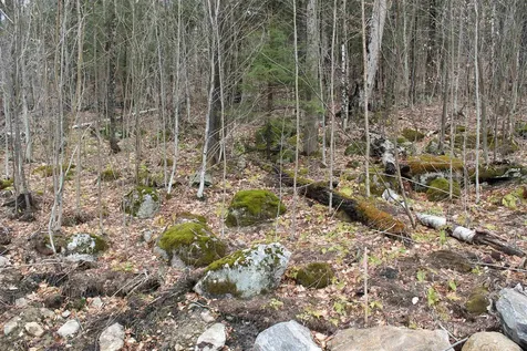 32 Alpine Drive Lincoln NH 03251