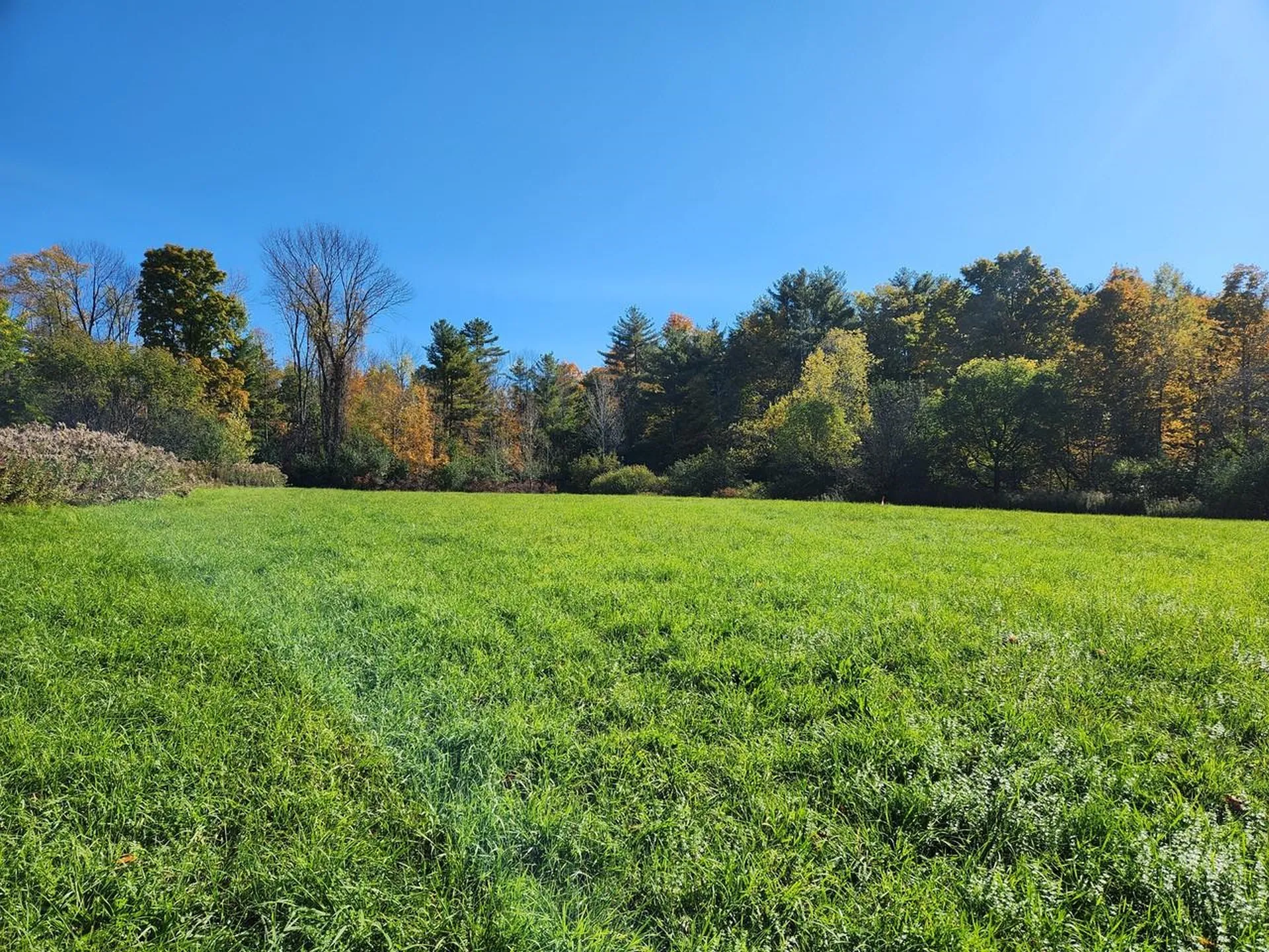 237 Shackett Road Leicester VT 05733