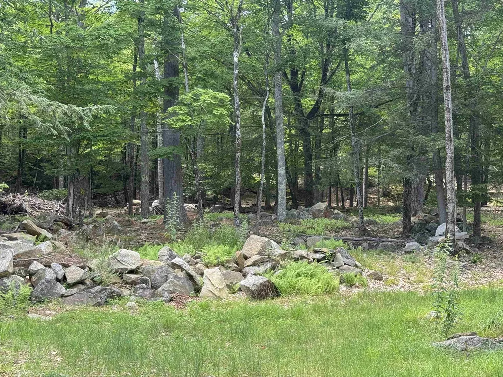 23 Cow Island Tuftonboro NH 03816