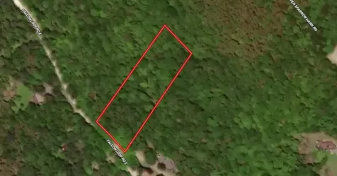223 Falcon Loop Road E Rochester VT 05767