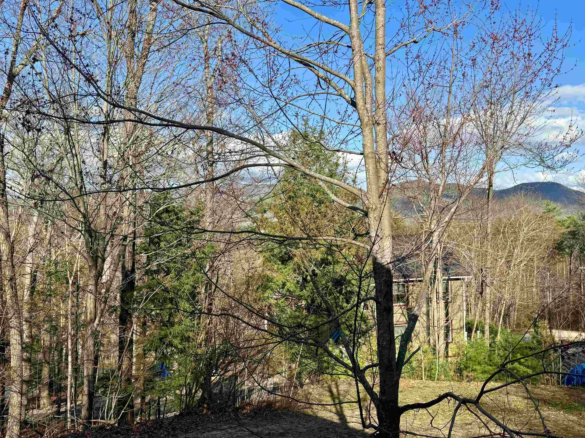 469 Allard Farm Circuit Road Conway NH 03860