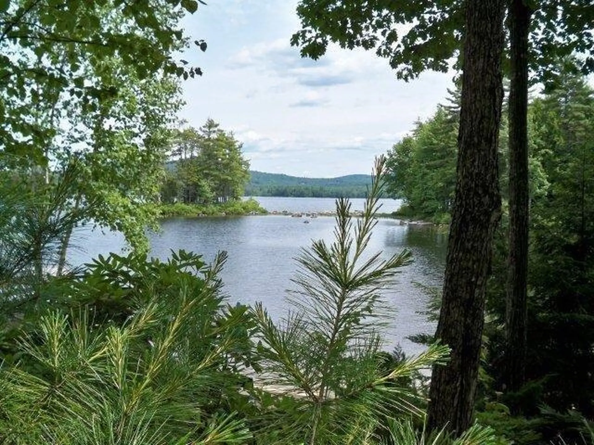 17 Poplar Lane Bartlett NH 03812