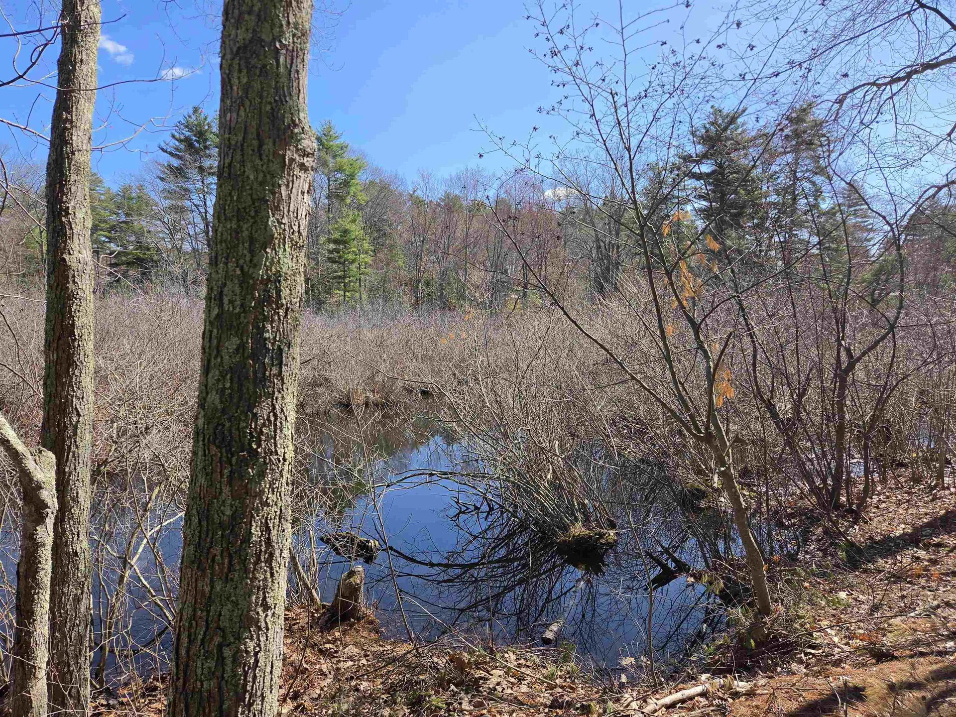 22 Tokanel Road Windham NH 03087