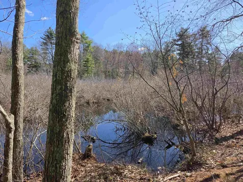 22 Tokanel Road Windham NH 03087