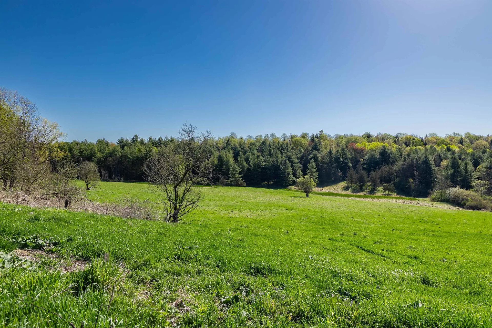 1555 Spear Street Charlotte VT 05445