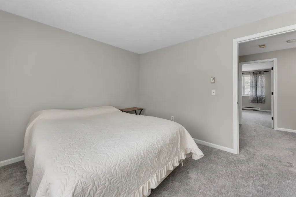 55 Lakewood Pines Road Bristol NH 03222