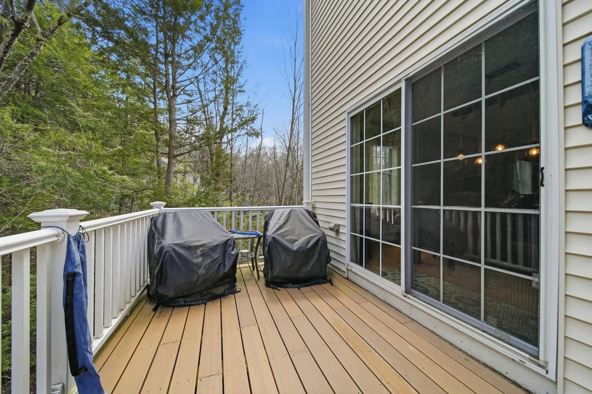 84 New Hampshire Drive Webster NH 03303