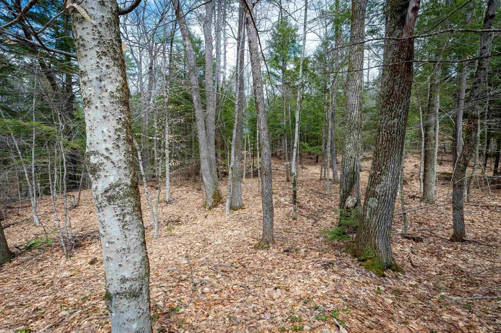 00 Route 153/ Eaton Road Eaton NH 03832
