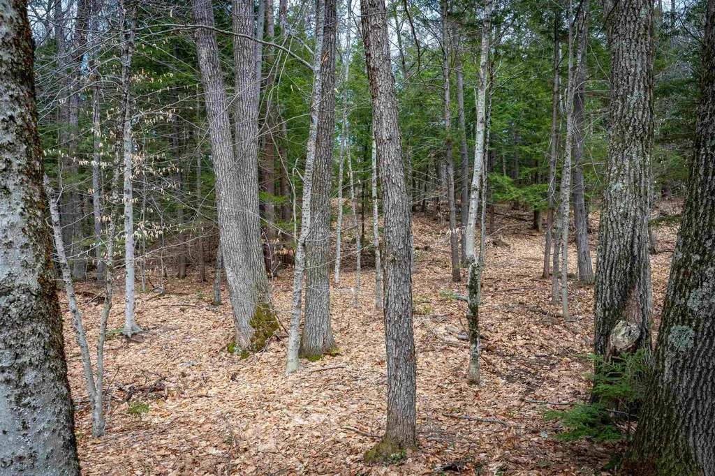 00 Route 153/ Eaton Road Eaton NH 03832