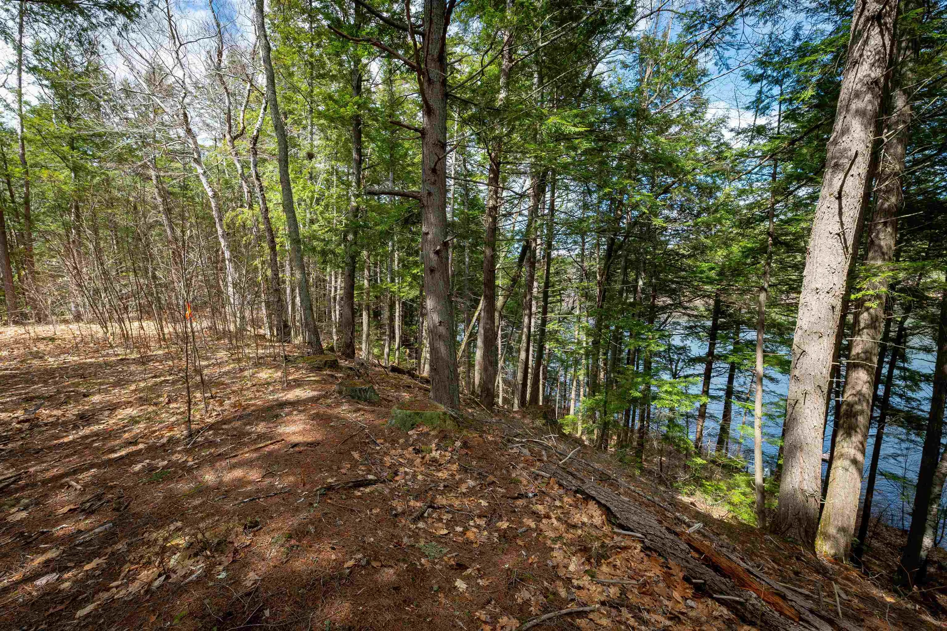 00 Route 153/ Eaton Road Eaton NH 03832