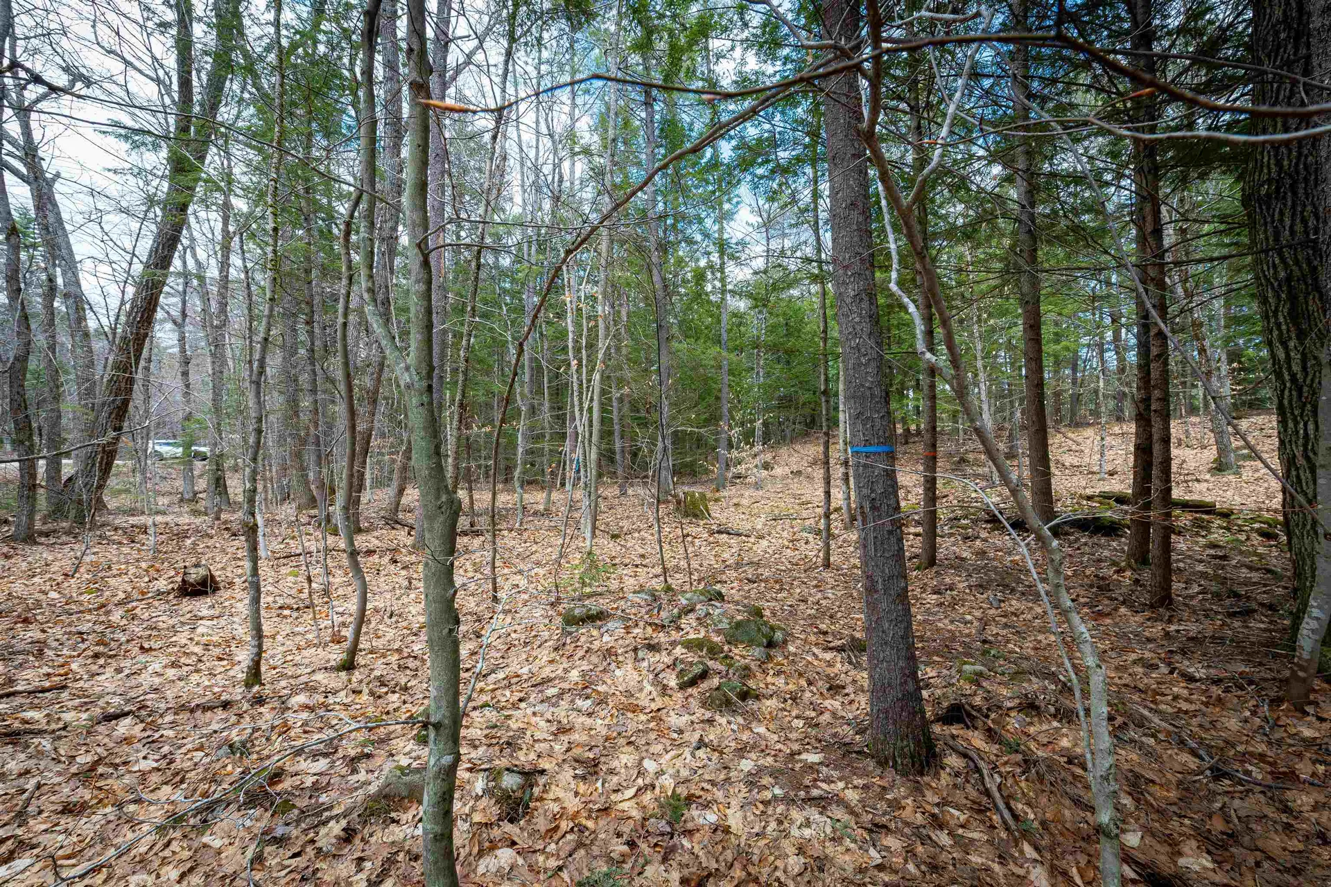 00 Route 153/ Eaton Road Eaton NH 03832