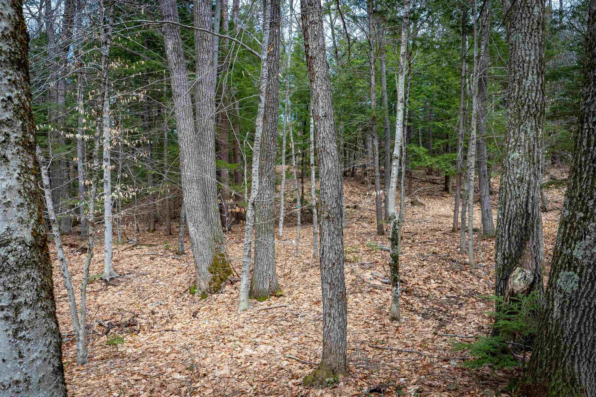 00 Route 153/ Eaton Road Eaton NH 03832
