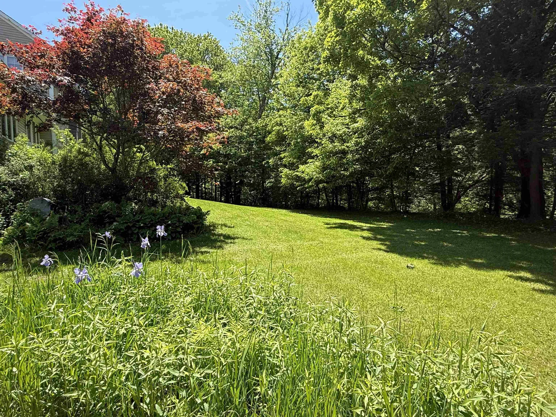 2391 Mcconnell Road Brandon VT 05733