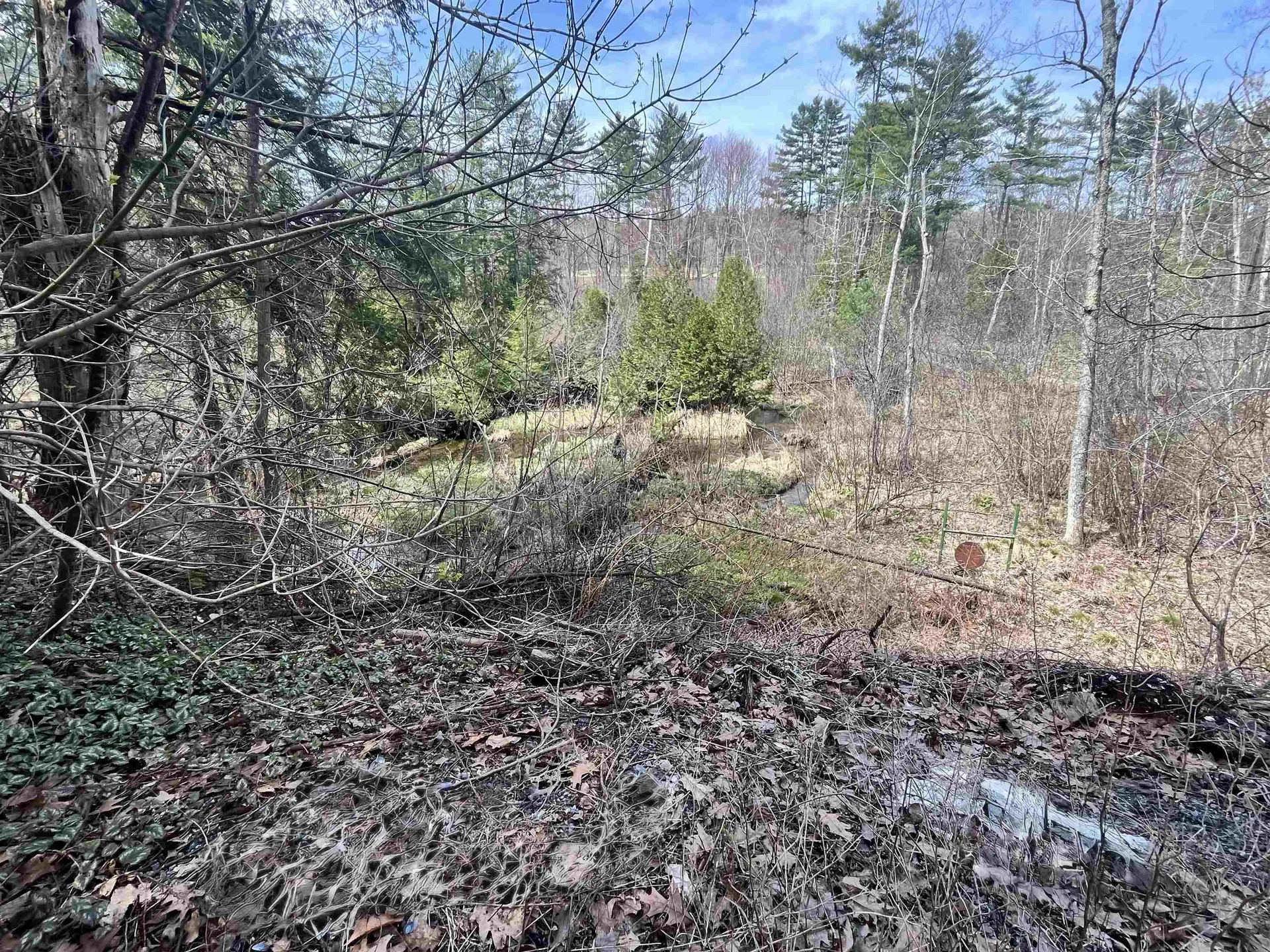 2391 Mcconnell Road Brandon VT 05733