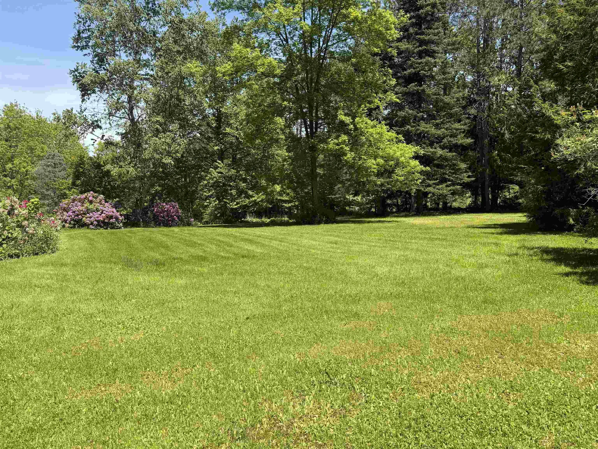 2391 Mcconnell Road Brandon VT 05733