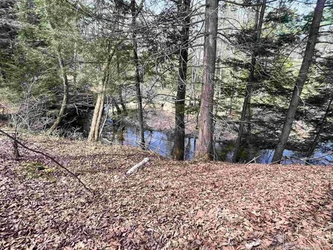 2391 Mcconnell Road Brandon VT 05733