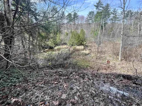 2391 Mcconnell Road Brandon VT 05733
